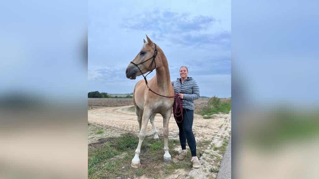 professionele aanlegtests