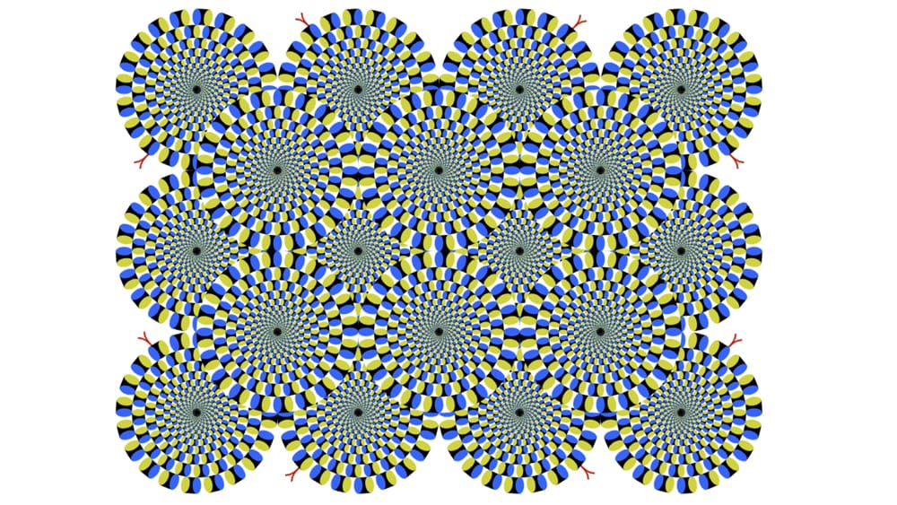 optical illusions and cognition