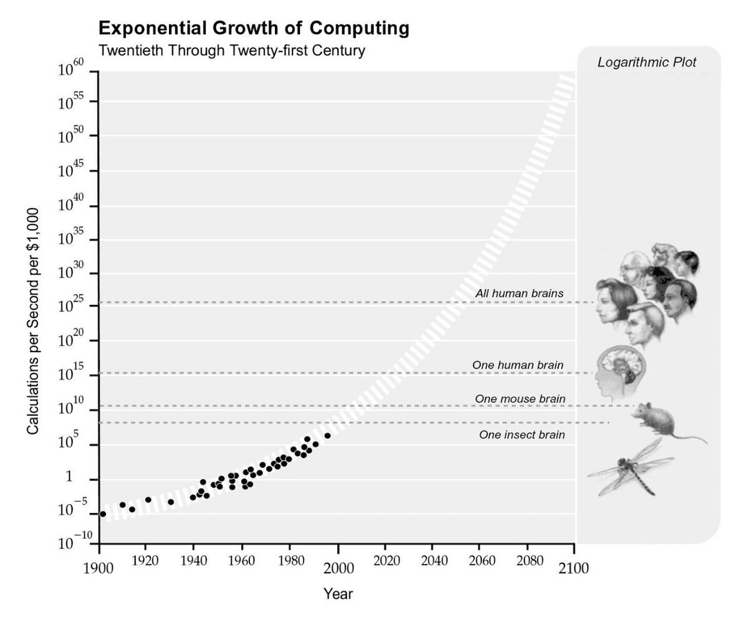 brain computing power