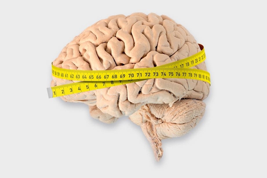 intelligens hos allt iq